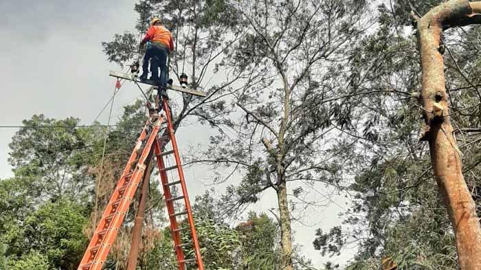Sempat Padam Diterjang Angin Kencang, Listrik di Batu Kembali Nyala