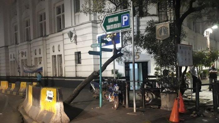 PKL Kota Tua Tewas Ditabrak Pengendara Toyota Land Cruiser