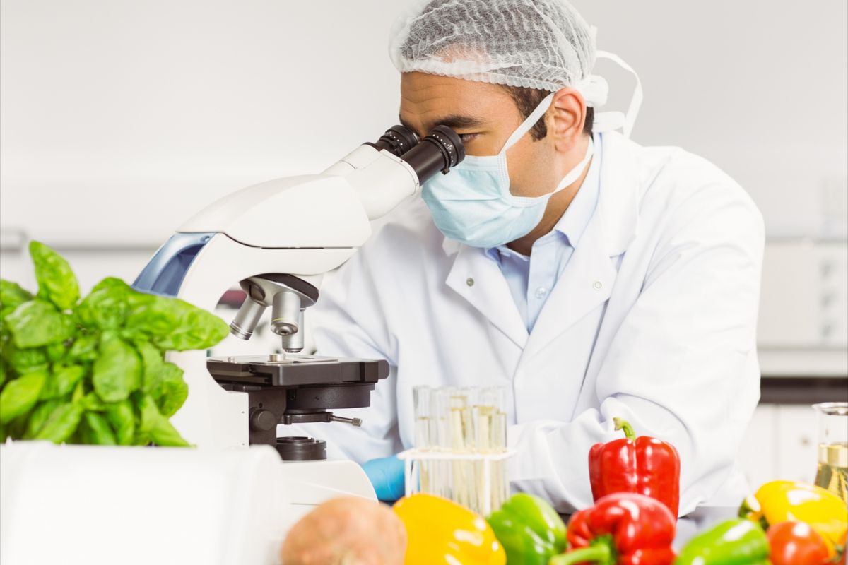 Teknologi Olah Makanan, Aman atau Tidak?