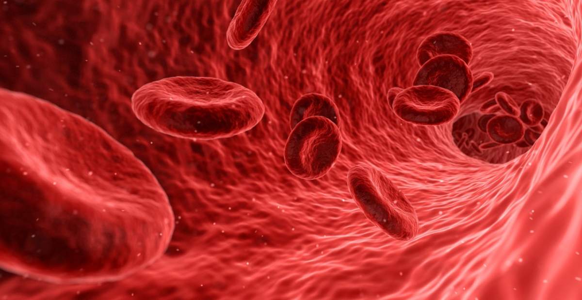 Daftar Makanan yang Ampuh Cegah Anemia dan Aman bagi Ibu Hamil