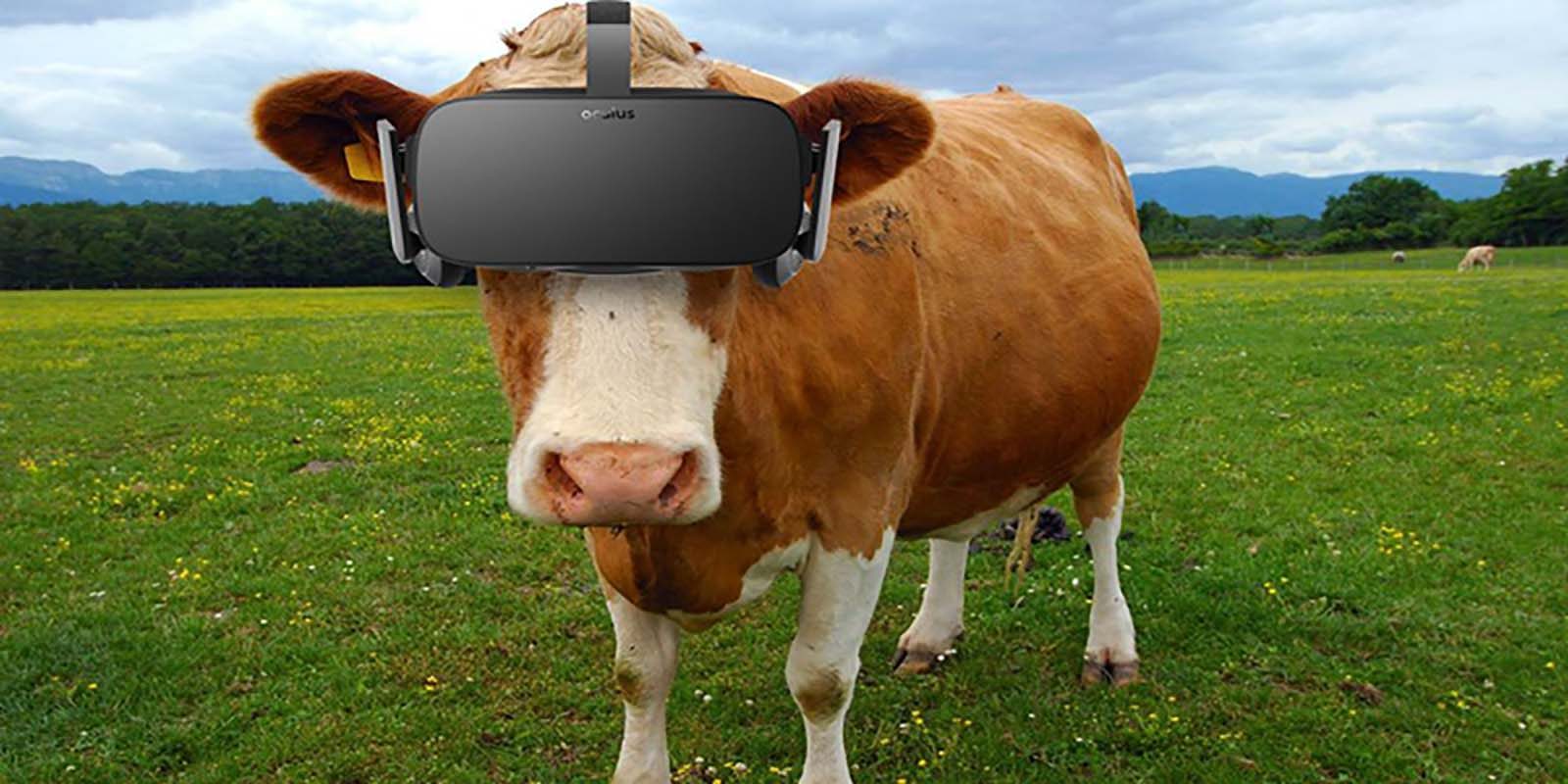 Penelitian Unik Hadirkan Teknologi VR untuk Para Peternak Sapi