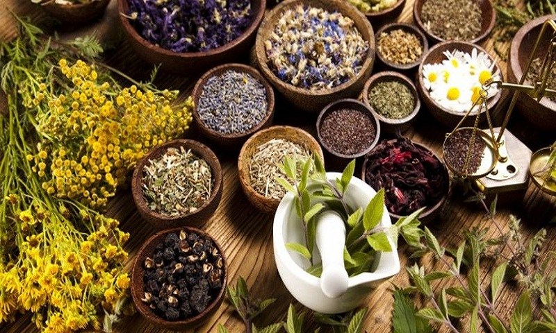 9 Akar Tanaman Herbal Penjaga Kesehatan Ginjal
