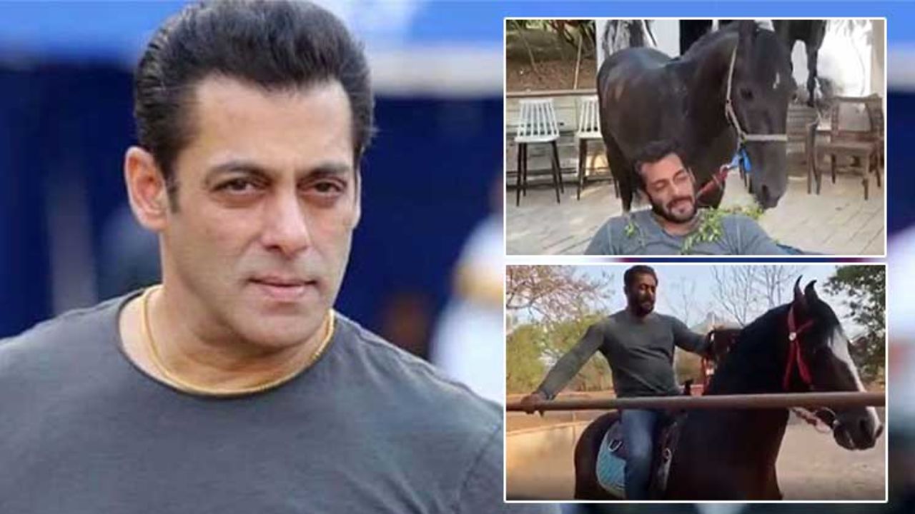 Karantina Mandiri, Salman Khan Isi Waktu dengan Rawat Ternak dan Berkuda