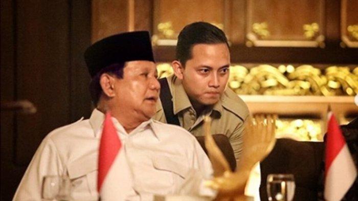 Ajudan Pribadi Prabowo Bocorkan Rencana Bosnya Tangani Covid-19