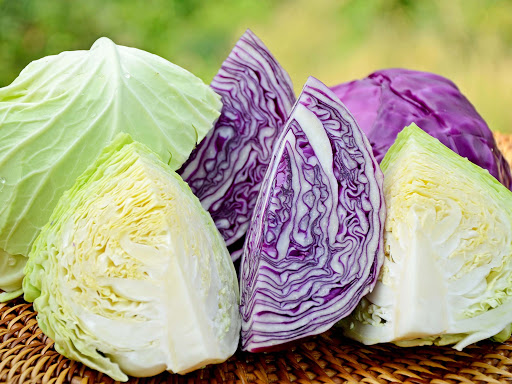 Sudah Tahu Sayur Kubis Kaya Manfaat?