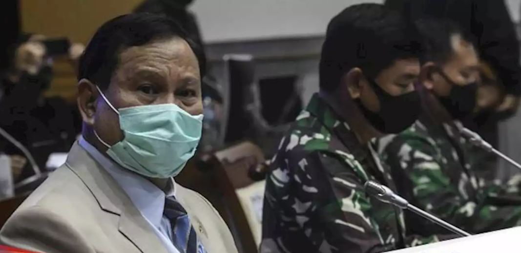 Prabowo Terjunkan Prajurit TNI Demi Singkong