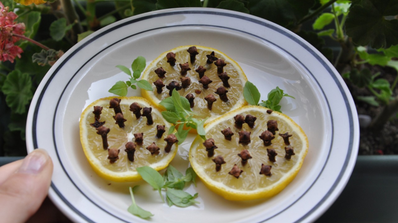 Manfaat Taruh Buah Lemon Ditusuk Cengkeh di Kamar Tidur
