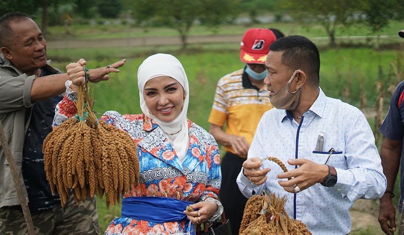 Bantu Petani, Bella Shofie Ngaku Lebih Nikmat Hidup di Desa