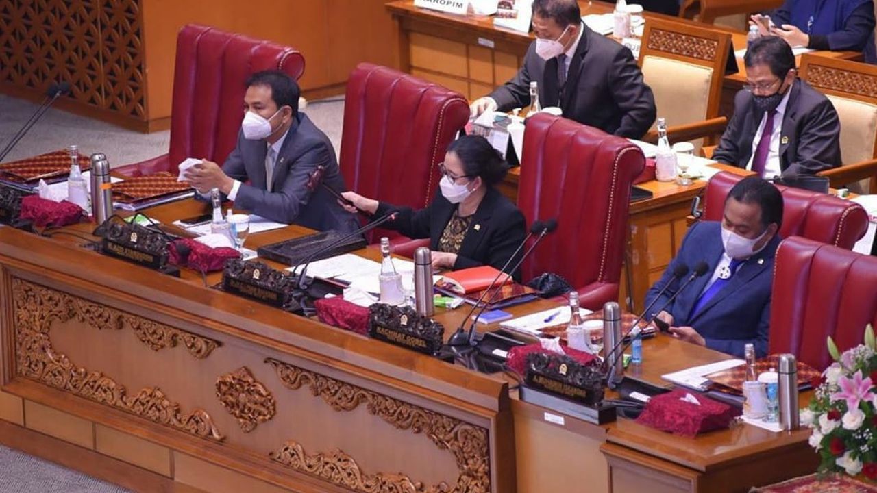 Puan Matikan Mikrofon Legislator Demokrat Saat Bahas Omnibus Law, Pengamat: Kekanak-kanakan!