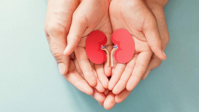 Tips Jaga Kesehatan Ginjal Sejak Usia Dini