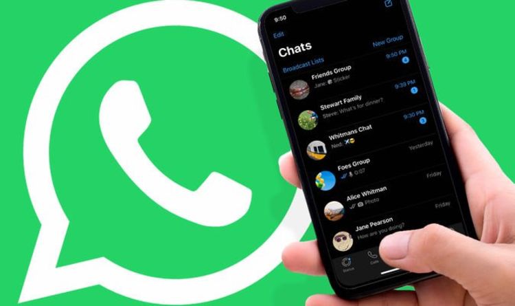 WhatsApp Luncurkan Fitur Pengelola Penyimpanan File untuk Hemat Memori Ponsel
