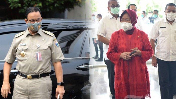 Alasan Risma Blusukan di Jakarta, Sengaja 'Pinjam Tangan Anies' untuk Naikkan Popularitasnya
