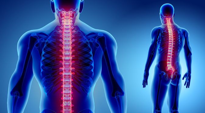 Cegah Osteoporosis, Ini Tips Jaga Kesehatan dan Kekuatan Tulang