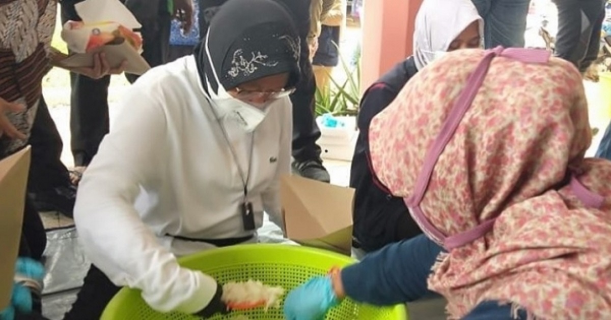 Mensos Risma Ikut Bantu Bungkus Nasi Korban Banjir Jember, Hidayat Nur Wahid Geram