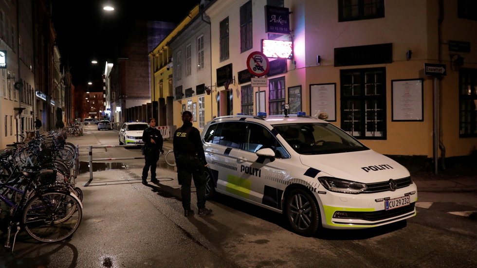 Polisi Denmark Ringkus 13 Orang Perencana Aksi Teror yang Diduga Berafiliasi dengan ISIS