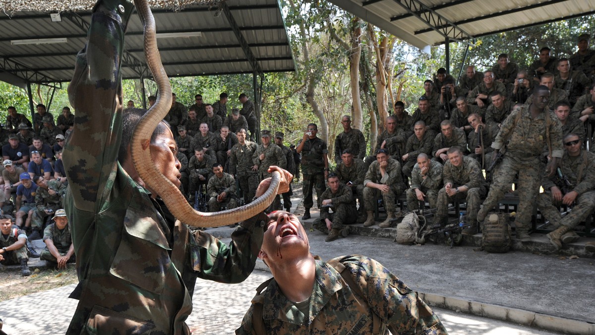 PETA Desak Prabowo Hentikan Latihan Nyeleneh TNI Minum Darah Ular Kobra dan Makan Tokek Hidup