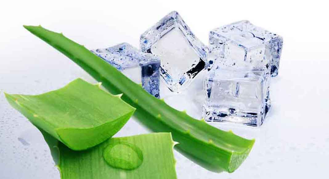Obat Alami untuk Gatal Akibat Gigitan Nyamuk