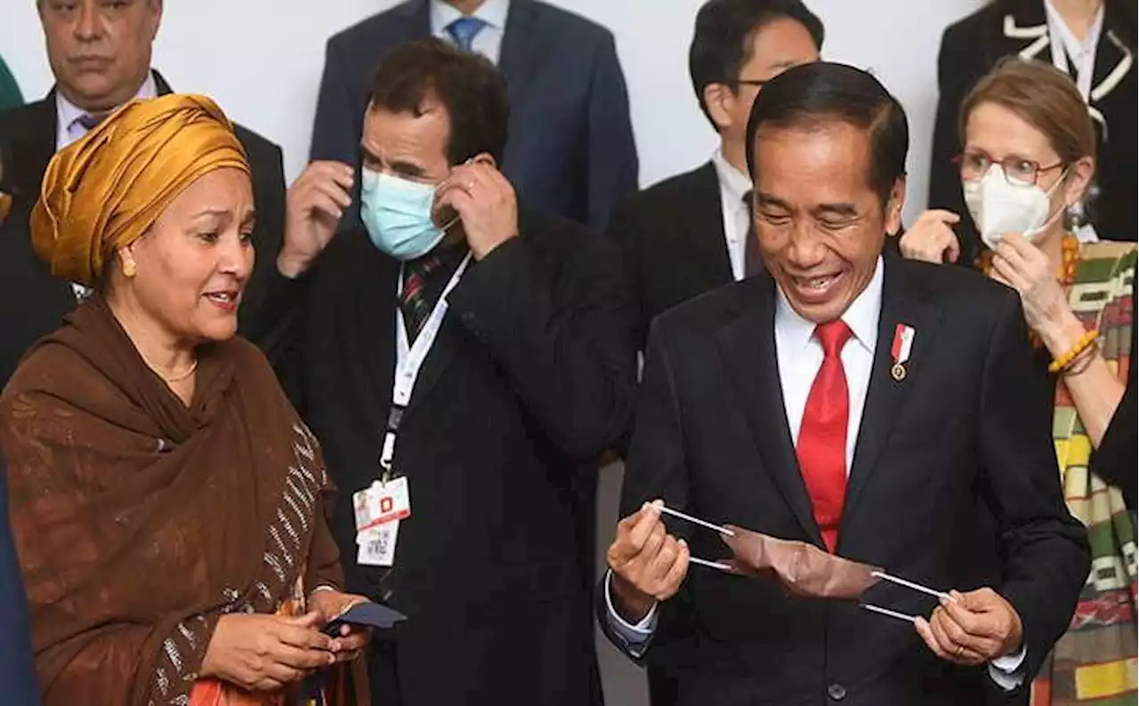 Jokowi dapat Pujian dari PBB, Soal Apa?
