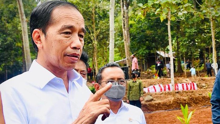 Jokowi Tegas Tolak Usulan Luhut Libatkan TNI di Kementerian