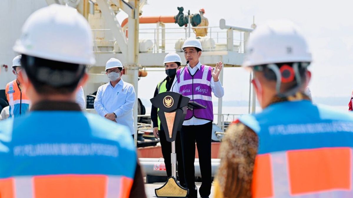 Jokowi Rilis 13 Item Baru di Proyek Strategis Nasional, Apa Saja?