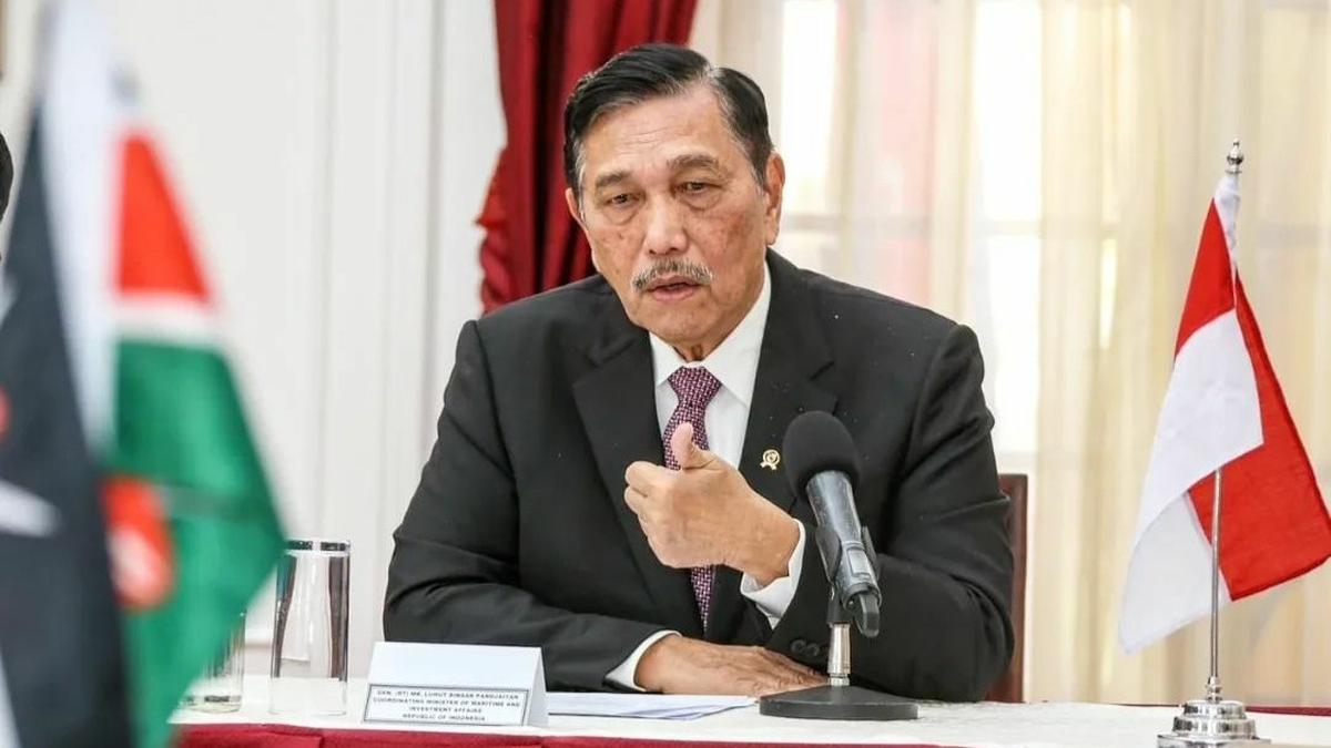 Luhut Sebut Jokowi Bakal ke Zimbabwe Ajak Garap Harta Karun Super Langka