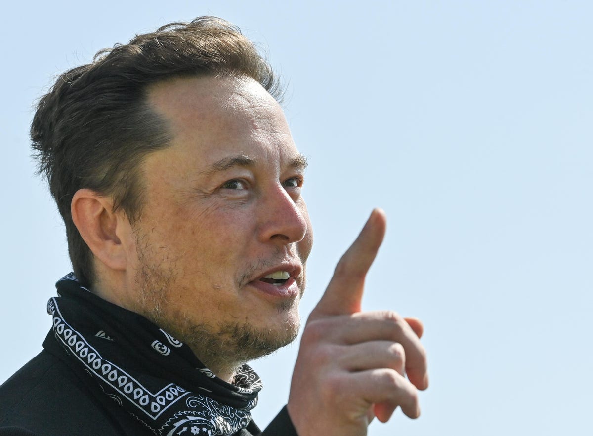 Elon Musk: Twitter Akan Berbagi Pendapatan Iklan dengan Kreator