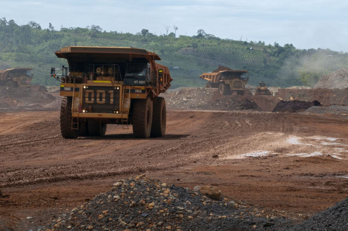 Sebut Izin Tambang Justru Rusak Citra Ormas, Walhi Minta Ormas Lakukan Ini