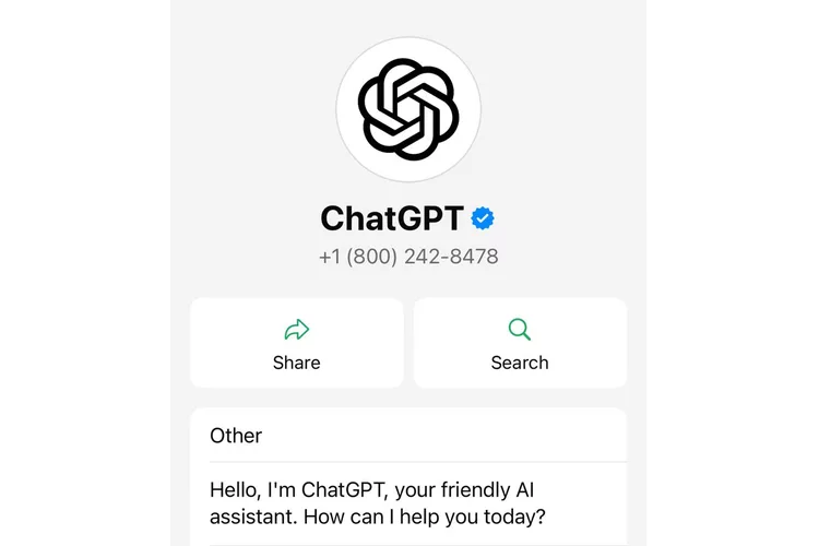 ChatGPT Sediakan Saluran Telepon Langsung Bebas Pulsa