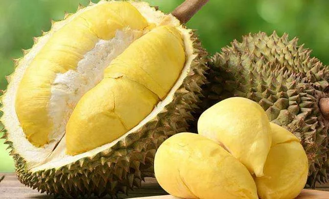 Ternyata Buah Durian Punya Beragam Manfaat untuk Kesehatan