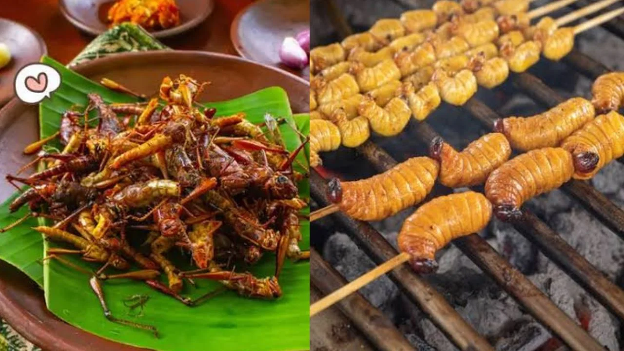 Belalang dan Ulat Sagu Diisukan Jadi Menu Makan Bergizi Gratis, Dokter Tifa: Semiskin itu Indonesia?