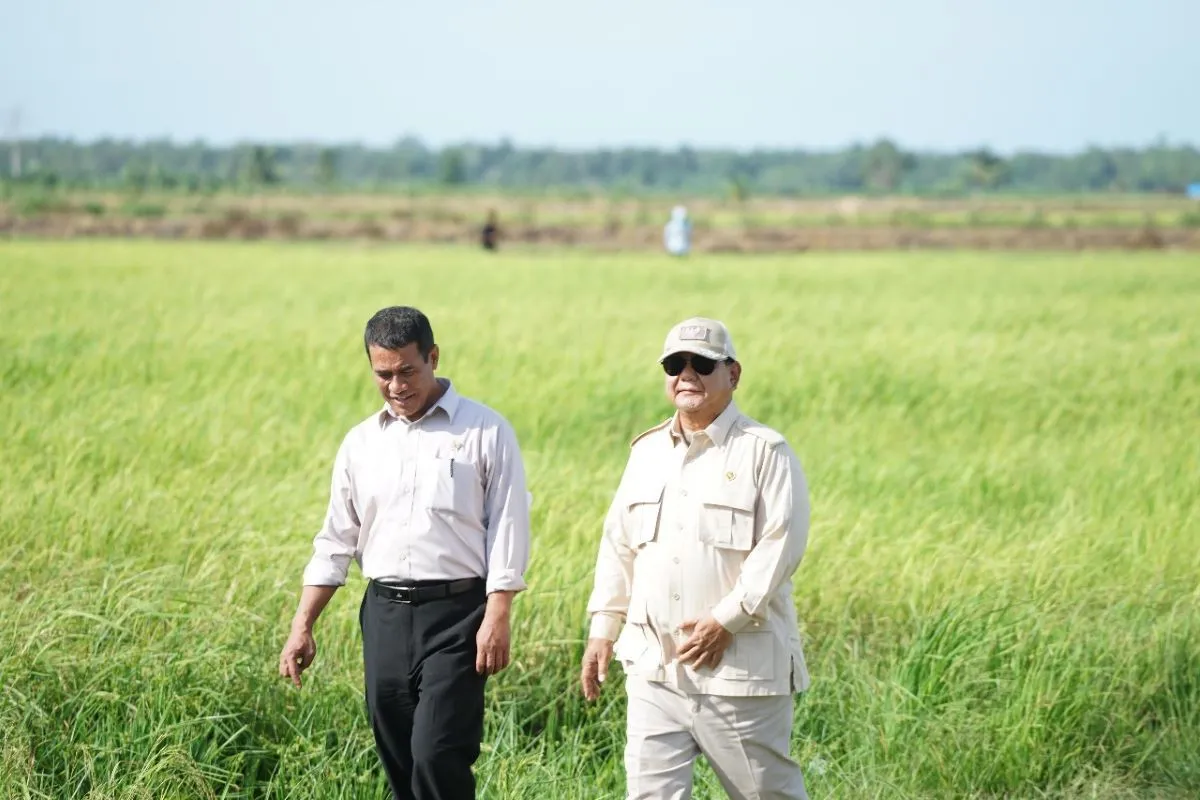 Prabowo Klaim Tidak Impor Beras Selama 2025