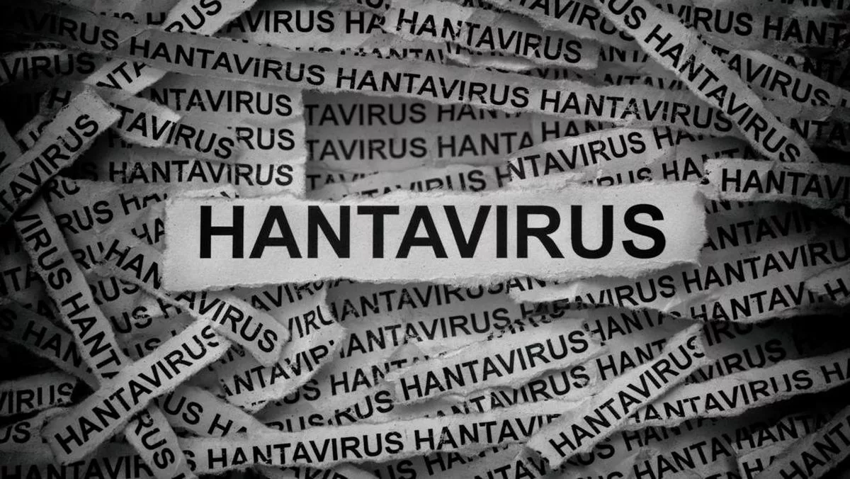 IDAI Ungkap Alasan Campak dan Difteri Lebih Mendesak dari Hantavirus